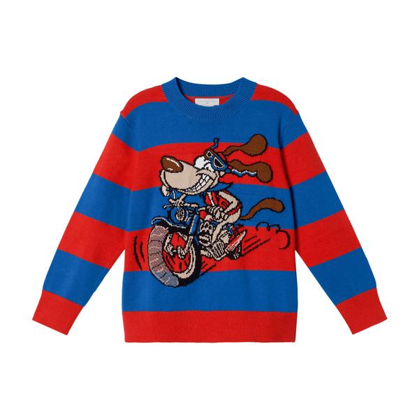 Boys Blue & Red Stripes Cotton Sweater