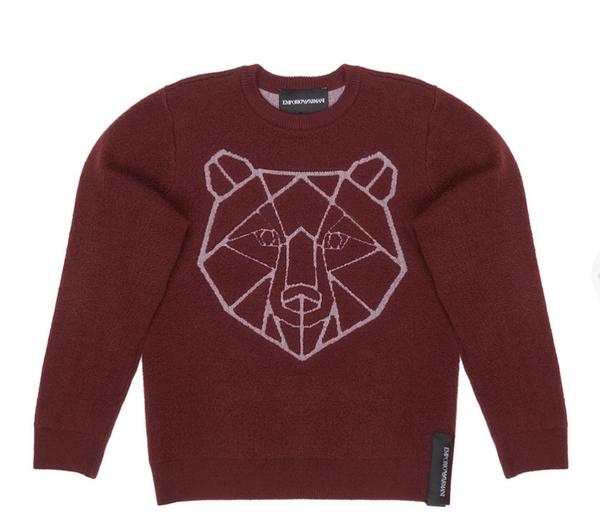 Boys Wine Red Printed Sweater